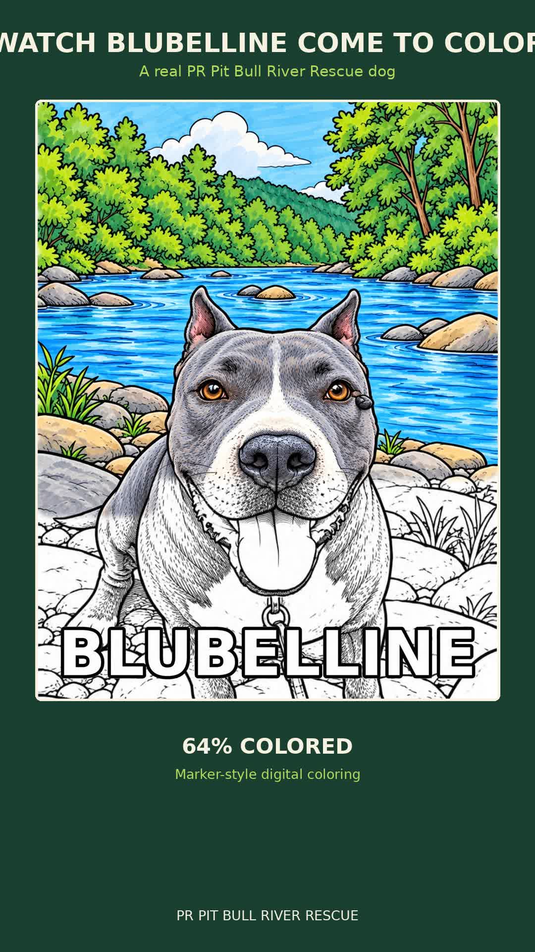 Blubelline Coloring Video