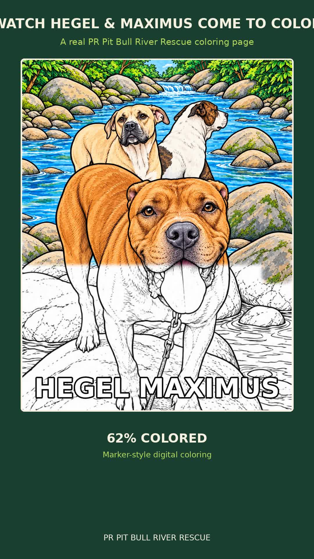 Hegel & Maximus Coloring Video