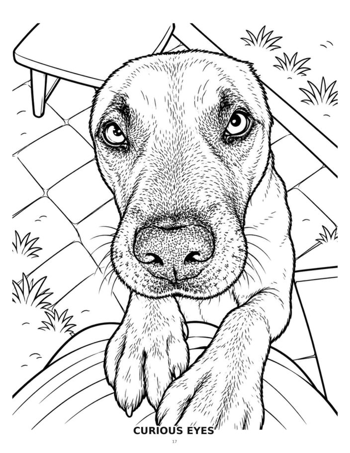 Learning to Dog Again — coloring preview 2