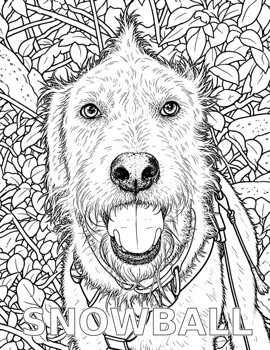 Snowball coloring page preview