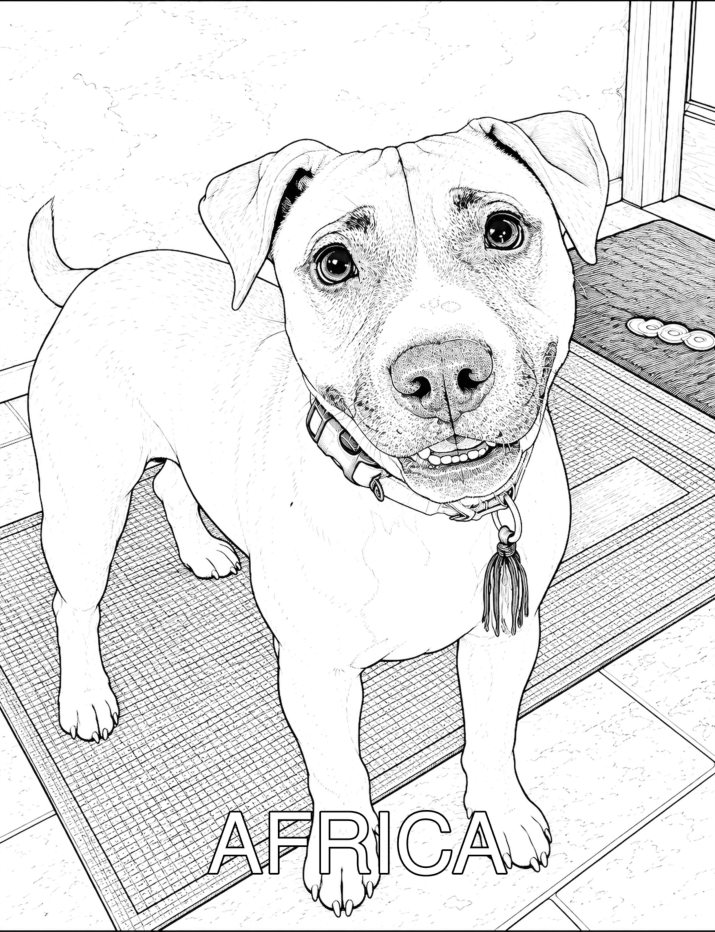 The Rainforest Rescue Pack — coloring preview 1