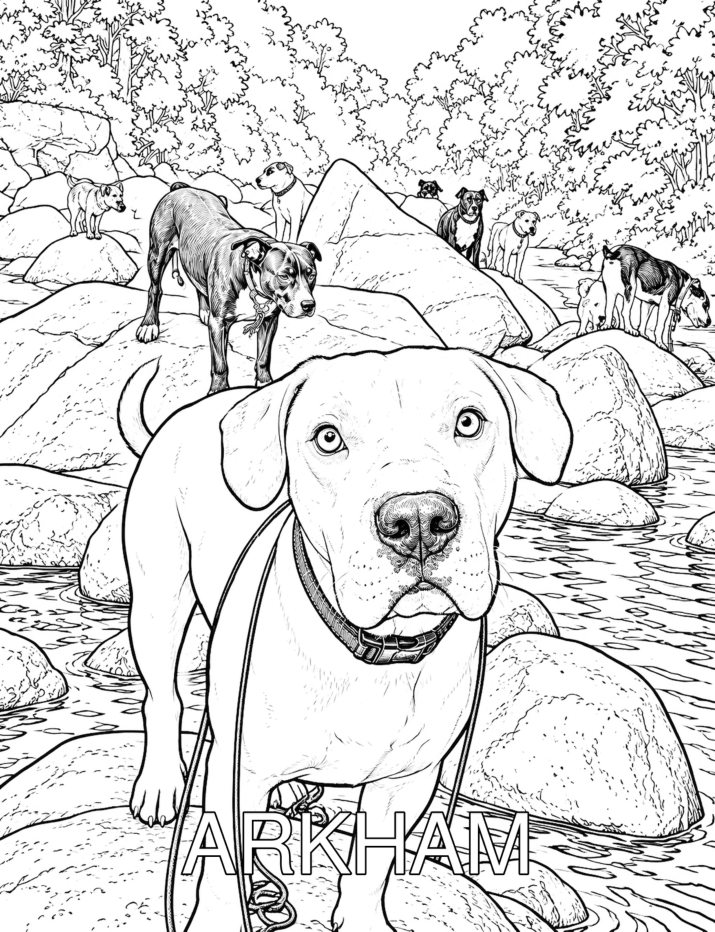 The Rainforest Rescue Pack — coloring preview 3