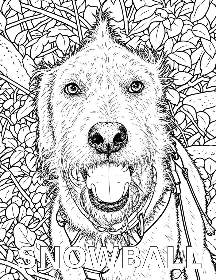 The Rescued River Pack — coloring preview 2