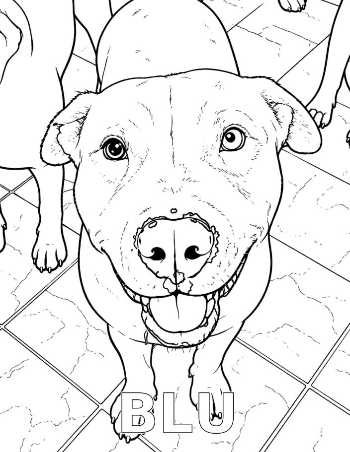 The Rescued River Pack — coloring preview 3