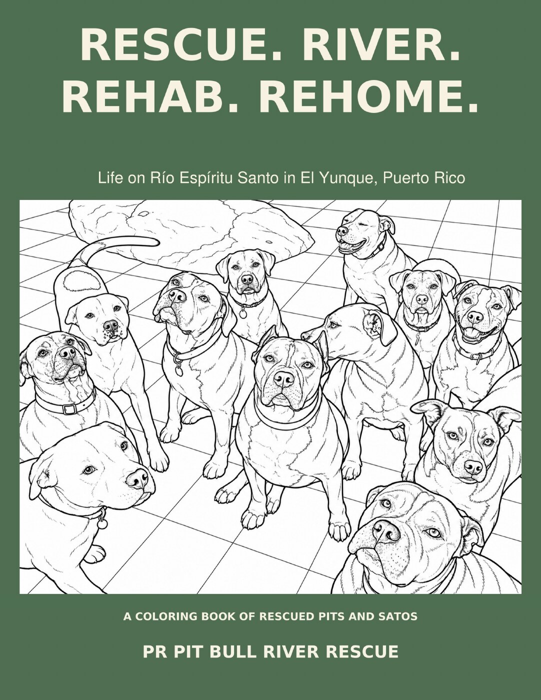 Rescue. River. Rehab. Rehome. coloring book front cover