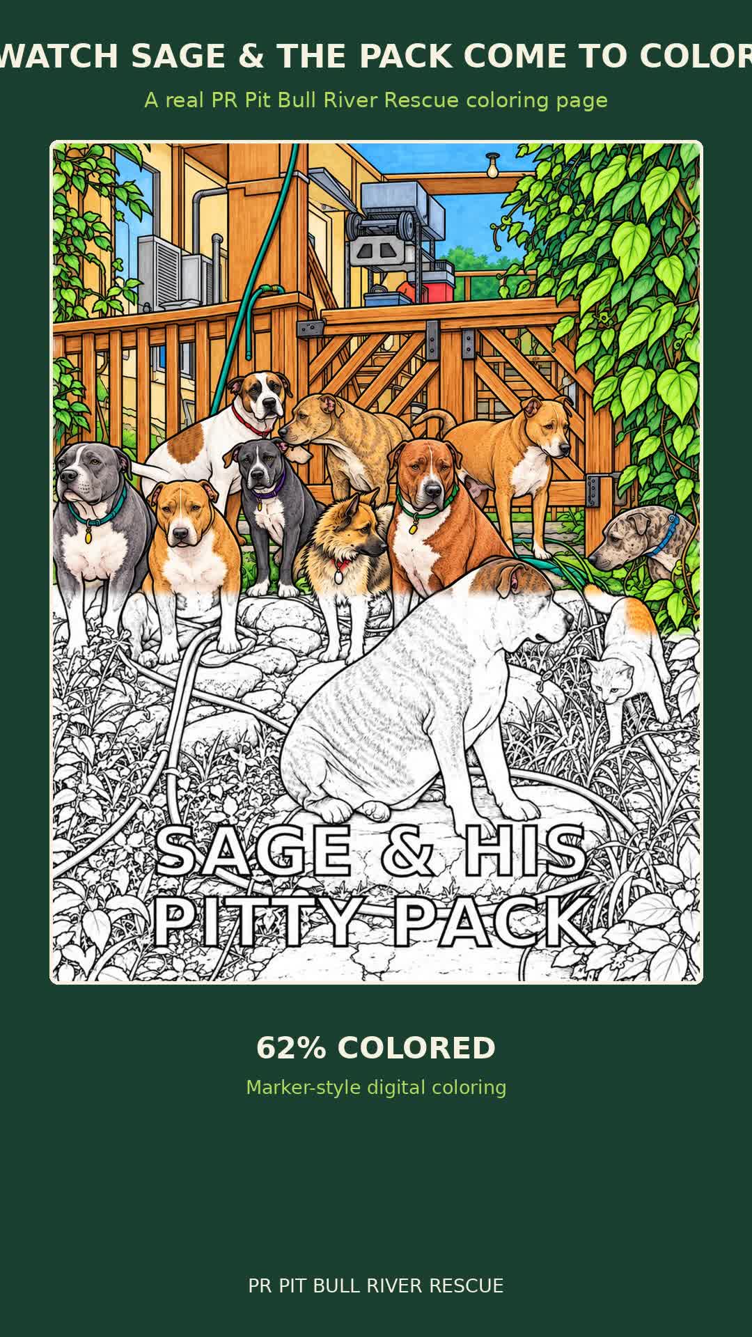 Sage & His Pitty Pack Coloring Video